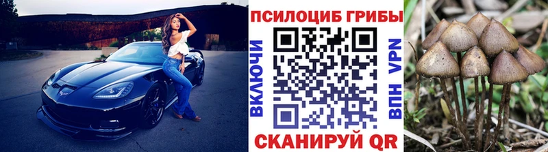 Галлюциногенные грибы прущие грибы  Козловка 