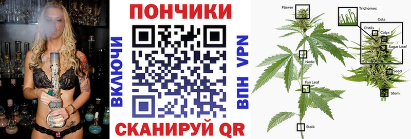 закладки Козловка Марихуана планчик